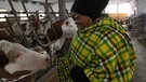 Frau aus Kenia mit Kuh | Bild: Bayerischer Rundfunk 2024