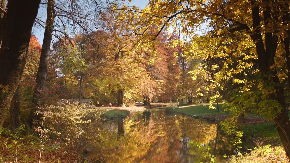 Herbst im Englischen Garten in München | Bild: Bayerischer Rundfunk 2022