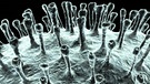 Elektronenmikroskop-Aufnahme des Corona-Virus | Bild: Bayerischer Rundfunk 2020