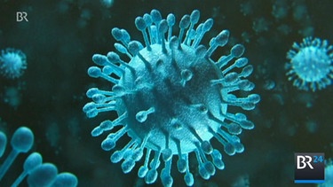 Unterschätzte Krankheit - Hepatitis-C kann zu Zirrhose und Krebs führen | Bild: Bayerischer Rundfunk
