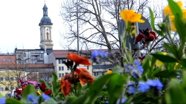 Traunstein - im Vordergrund Blumen | Bild: Bayerischer Rundfunk