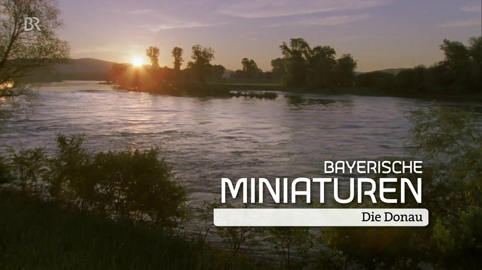 Bayerische Miniaturen: Die Donau | Bild: Bayerischer Rundfunk