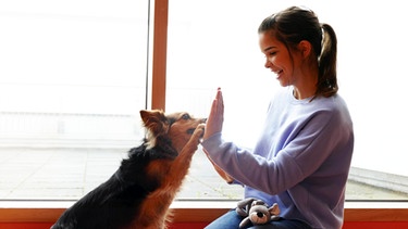 Schulhund Lunka im Einsatz | Lunka gibt Anna „High Five“. Das ist nur einer von zahlreichen Tricks, die sie beherrscht.
| Bild: BR | Text und Bild Medienproduktion GmbH & Co.KG