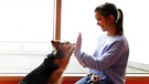 Schulhund Lunka im Einsatz | Lunka gibt Anna „High Five“. Das ist nur einer von zahlreichen Tricks, die sie beherrscht.
| Bild: BR | Text und Bild Medienproduktion GmbH & Co.KG