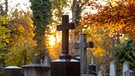 Friedhof: Gräber an Allerheiligen in München. | Bild: Sylvia Bentele Fotografie/Sylvia Bentele