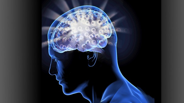 Symbolbild: Gehirn | Bild: picture-alliance/dpa