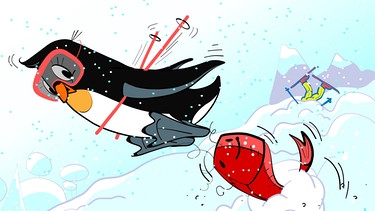 Pinguin Pudding fährt Ski | Bild: BR | Tanja Begovic