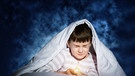Ein kleiner Junge sitzt mit einer Taschenlampe unter der Bettdecke. Aus Furcht hat er die Augen zusammengekniffen. | Bild: colourbox.com