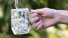 Ein Glas mit frischem Wasser: In vielen Ländern der Welt keine Selbstverständlichkeit | Bild: picture-alliance/dpa