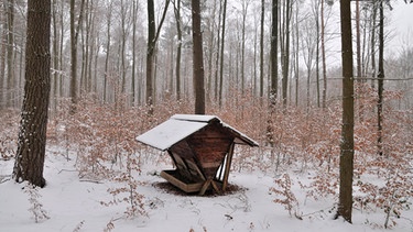 Eine Futterkrippe für Wildtiere steht im Naturpark Schönbuch (Baden-Württemberg) im winterlichen Wald. | Bild: picture alliance / imageBROKER | Matthias Hauser