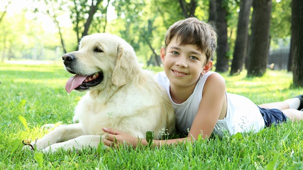 Ein Junge mit seinem Hund | Bild: colourbox.com