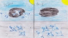Zeichnung von Johanna aus der Klasse 4b der Grundschule am Pilsensee in Hechendorf | Bild: BR