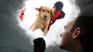 Bei einer Übung am Berg wird ein Verschütteter durch einen Lawinensuchhund gerettet. | Bild: picture-alliance/dpa