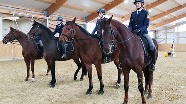 11.01.2019: Die Nürnberger Polizei hat jetzt vier Pferde. | Bild: BR/Sophia Ruhstorfer