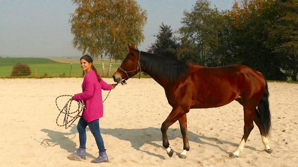 Anna lernt reiten -  Mit Pferden sprechen (Folge 5) / Respekt und Vertrauen sind wichtig beim Sprechen mit Pferden. Anna versucht es mit Liselotte.
| Bild: BR | Text und Bild Medienproduktion GmbH & Co. KG