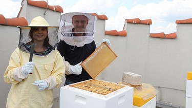 Biene | Jeder Imker braucht einen Stockmeißel. Damit hebt er die Waben aus den Zargen. Thomas zeigt Anna eine Honigwabe.  | Bild: BR | Text und Bild Medienproduktion GmbH & Co. KG