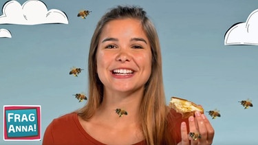 Eisbären, Bienen, Leoparden | Anna erklärt wie Bienen Honig machen | Bild: BR | Text und Bild Medienproduktion GmbH & Co. KG