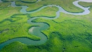 Brasilien: Der Regenwald und der Fluss Amazonas von oben fotografiert. | Bild: colourbox.com