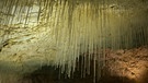 Die Stalaktiten in den Höhlen von Choranche im Vercors, einem Gebirgsstock in den westlichen französischen Alpen, sind besonders lang und dünn. Sie erreichen eine Länge von 3,20 Metern. | Bild: picture-alliance/dpa