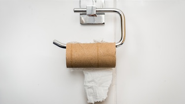 Ein leere Klopapierrolle hängt an einem Toilettenpapierhalter vor weißen Fließen. | Bild: stock.adobe.com/andriano_cz