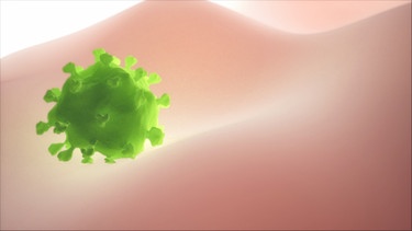 Ein Virus greift eine Zelle an....  | Bild: picture alliance/Zoonar