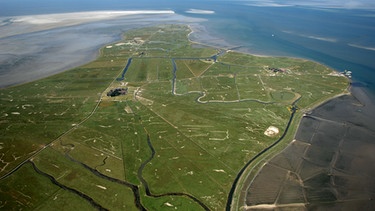 Luftbild der Hallig Hooge im Wattenmeer | Bild: picture-alliance/dpa