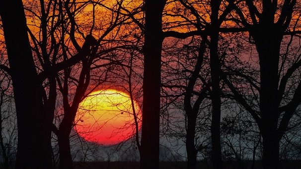 Ein farbenprächtiger Sonnenuntergang in Brandenburg am 21. Dezember zur Wintersonnenwende. | Bild: picture-alliance/dpa