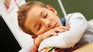 Ein müder Junge schläft auf seinen Schulheften. | Bild: colourbox.com