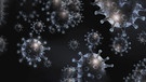 Grafik Corona-Virus | Bild: Bayerischer Rundfunk 2020