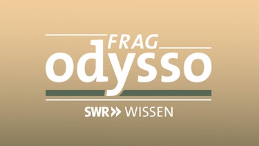 Logo von Sendung "Odysso" | Bild: SWR