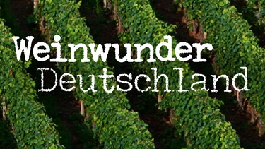 Sendungsbild: Weinwunder Deutschland | Bild: BR