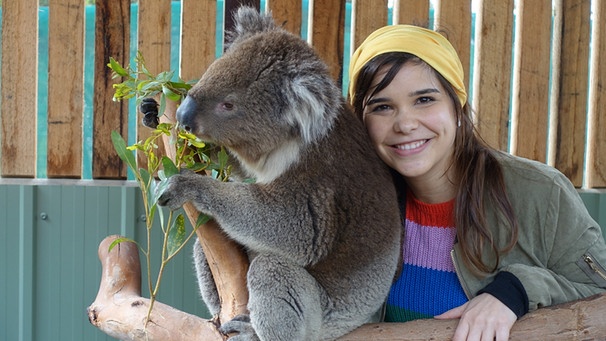 Voll süß, Koala! Tierreporterin Anna kuschelt sich an einen Koala. Koalas haben ein ganz weiches Fell. | Bild: BR / Text und Bild Medienproduktion GmbH & Co.KG