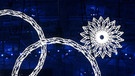 Beleuchtete olympische Ringe in Sotschi. | Bild: picture-alliance/dpa