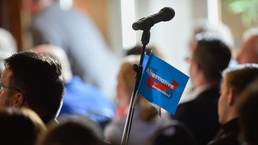 Ein Fähnchen mit der Aufschrift "Alternative für Deutschland" hängt in Kremmen (Brandenburg) an einem Mikrofon des Landesparteitages der Brandenburger AfD.  | Bild: picture-alliance/dpa