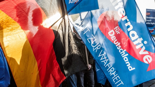 Demo der Partei AfD | Bild: picture-alliance/dpa/Markus Scholz