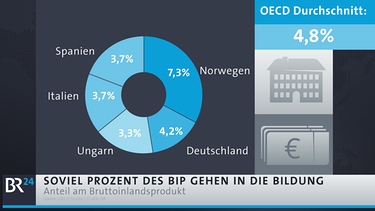 Infografik: Anteil BIP in die Bildung je OECD-Land | Bild: Daten: OECD-Studie/Grafik: BR