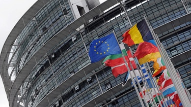 EU Parlamentsgebäude mit Flaggen im Vordergrund | Bild: pa/dpa/Patrick Seeger