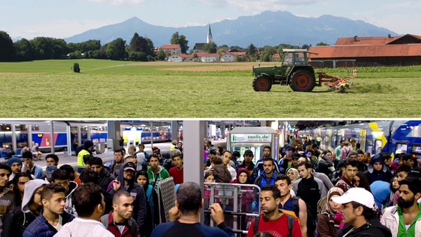 Bei Rimsting am Chiemsee wird Heu gewendet (oben) / Flüchtlinge die vor kurzem mit einem Zug angekommen sind stehen am Hauptbahnhof in München (unten | Bild: BR/Herbert Ebner (oben) / picture alliance/Sven Hoppe (unten)