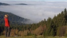 Wanderin genießt die Aussicht im Bayerischen Wald | Bild: picture-alliance/dpa