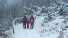 Eine Familie wandert am Großen Arber auf einem mit Schnee bedeckten Weg | Bild: picture-alliance/dpa
