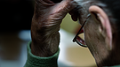 Symbolbild: Die Hand und das Profil einer alten Frau | Bild: picture-alliance/dpa, Montage: BR