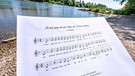 Ein Notenblatt mit dem Liedtext des Donaulieds am Donauufer   | Bild: dpa-Bildfunk/Armin Weigel
