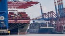 Der Containerfrachter "Al Jasrah" (l.) im Hamburger Hafen (Archivbild) | Bild: picture alliance/dpa | Axel Heimken