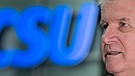 Horst Seehofer vor dem CSU-Logo | Bild: picture-alliance/dpa