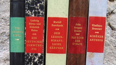 Buckrücken von Bänden der lange Jahre von Enzensberger herausgegebenen Reihe "Die Andere Bibliothek" | Bild: BR