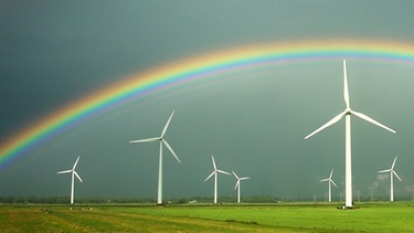 Ja zur Windkraft, nein zum Windrad? | Bild: picture-alliance/dpa