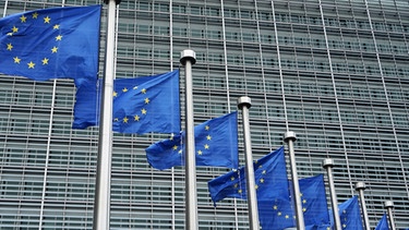 EU-Fahnen vor der Europäischen Kommission in Brüssel | Bild: pa/dpa/Daniel Kalker