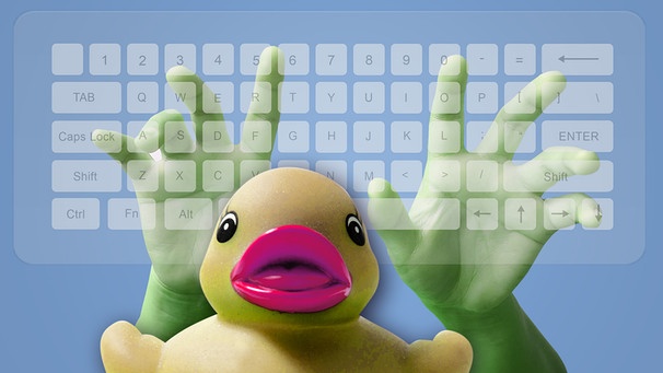 Tastatur und Ente | Bild: colourbox.com; Montage/BR