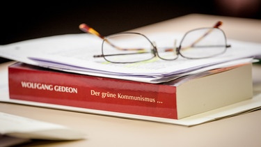 Das Buch "Der grüne Kommunismus und die Diktatur der Minderheiten" des Landtagsabgeordneten Wolfgang Gedeon (AfD)  | Bild: picture-alliance/dpa