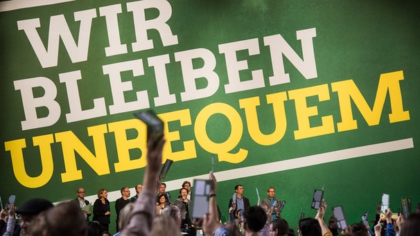 Abstimmende Grüne beim Parteitag in Münster | Bild: dpa/Bildfunk/Bernd Thissen
